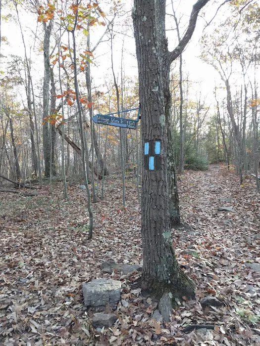 Village Vista Trail Jct. West Picture 8