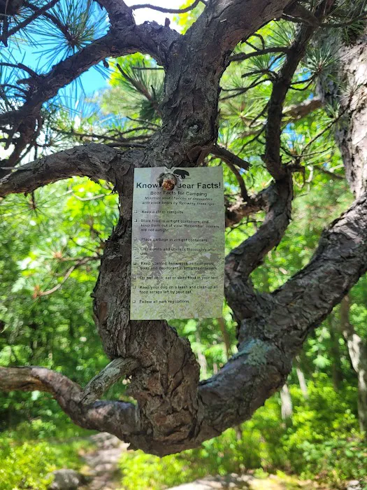 Appalachian Trail NY/NJ Border Picture 3
