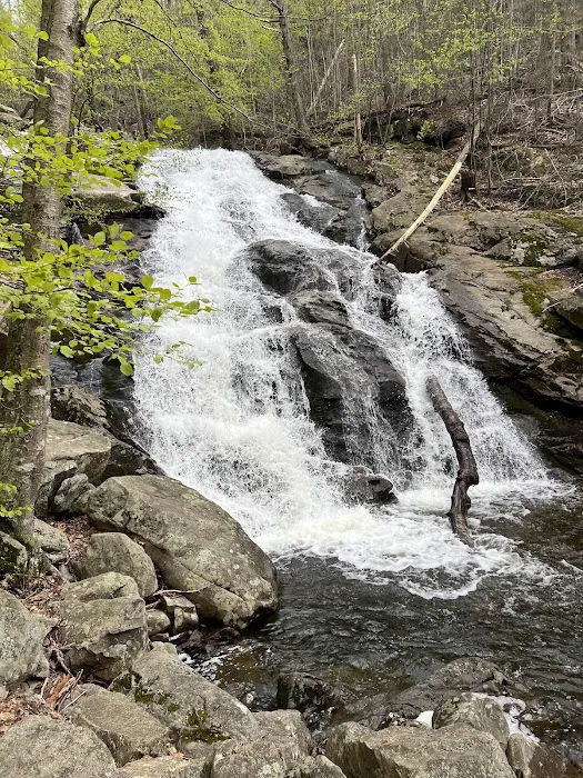 Cascade Lake Park Waterfall Picture 9