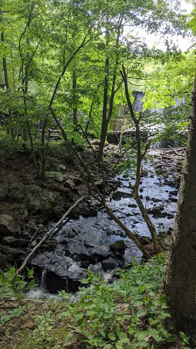 Cascade Lake Picture 8
