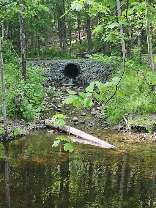 Cascade Lake Picture 7