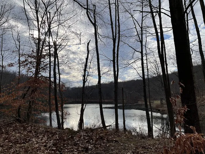 Cascade Lake Picture 2