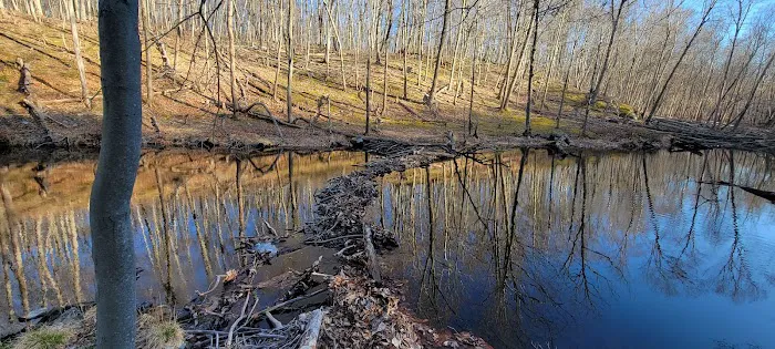 Cascade Lake Park Picture 3