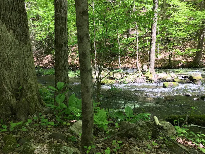 Cascade Lake Park Picture 1