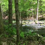 Cascade Lake Park