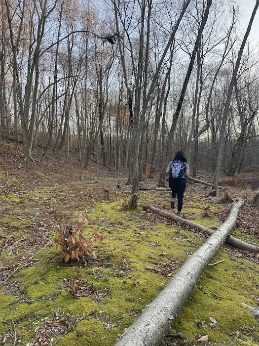 Cascade Lake Park Picture 10