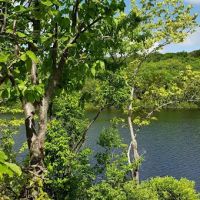 Appalachian Trail ico