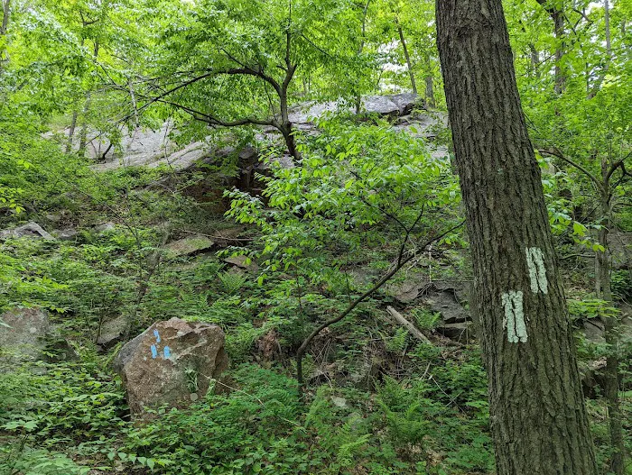 Appalachian Trail Picture 8