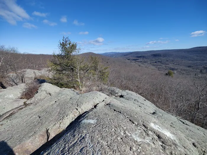 Appalachian Trail Picture 7