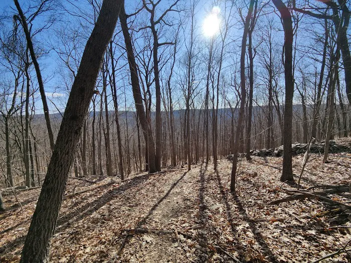 Appalachian Trail Picture 4