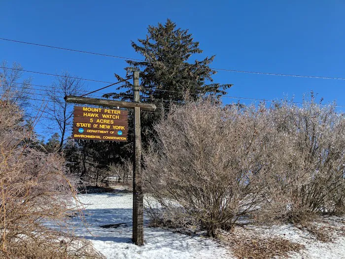 Mount Peter Hawk Watch Picture 6