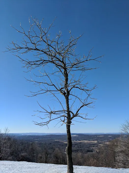 Mount Peter Hawk Watch Picture 1