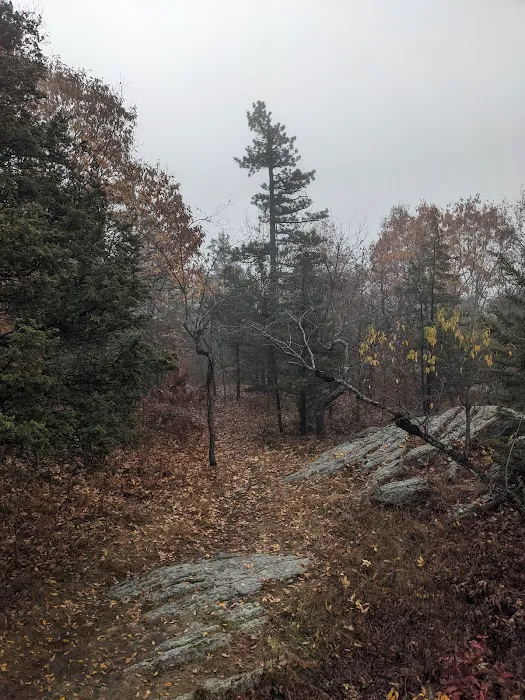 Mount Peter Hawk Watch Picture 9