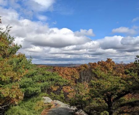 Highlands Preserve