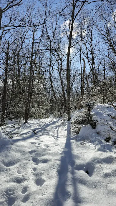 Beaufort Ridge and Surprise Lake Loop Picture 3