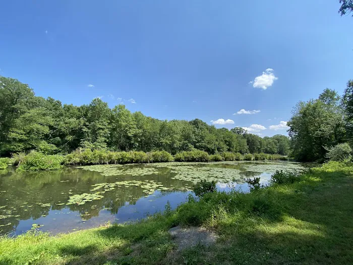 Passaic County Camp Hope Picture 3