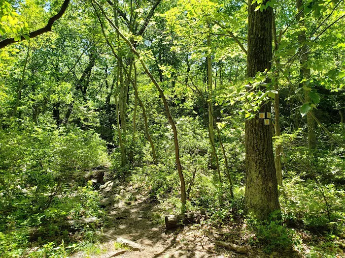 Quail Trailhead Picture 10