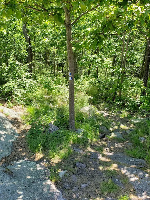 Quail Trailhead Picture 8