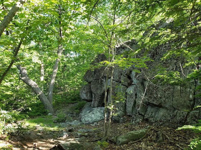 Quail Trailhead Picture 2