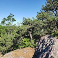 Quail Trailhead ico