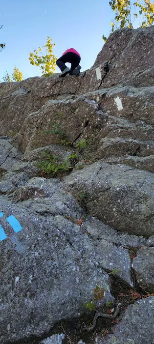 Cat Rocks Picture 3