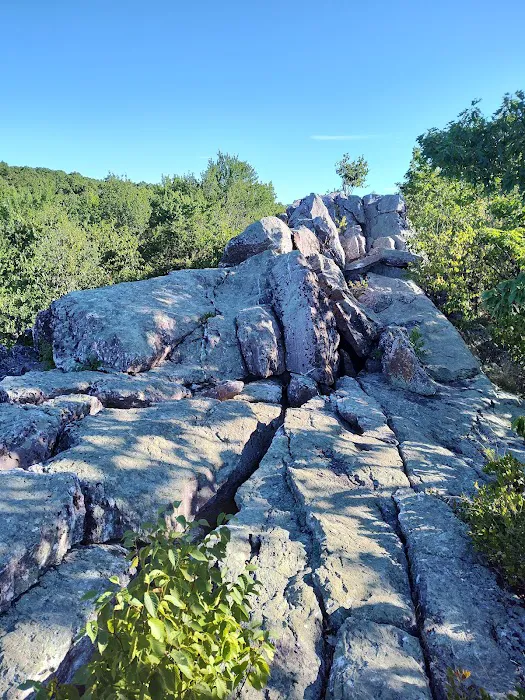 Cat Rocks Picture 6