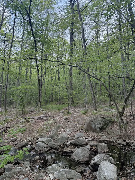 Doris Duke Trailhead Picture 2