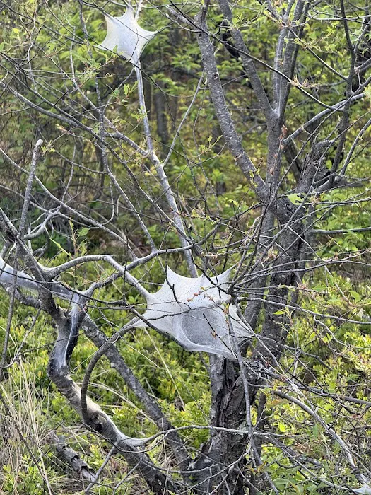 Doris Duke Trailhead Picture 10