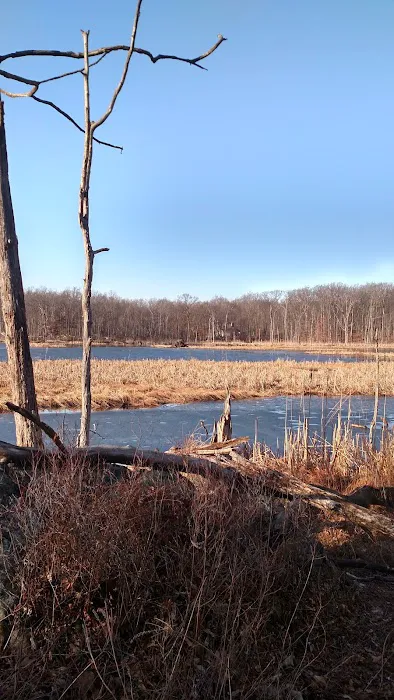 Monroe Town Berry Rd Park Picture 8