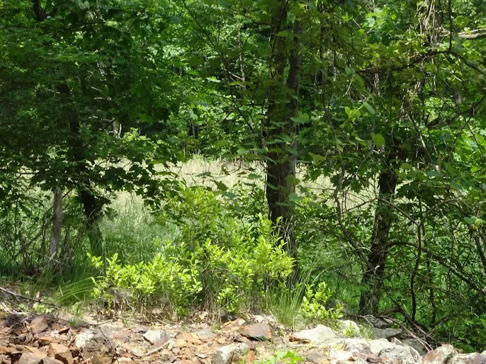 Monroe Town Berry Rd Park Picture 6
