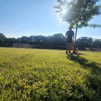 Mombasha Park ico