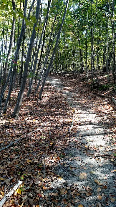 Mombasha Park Picture 7