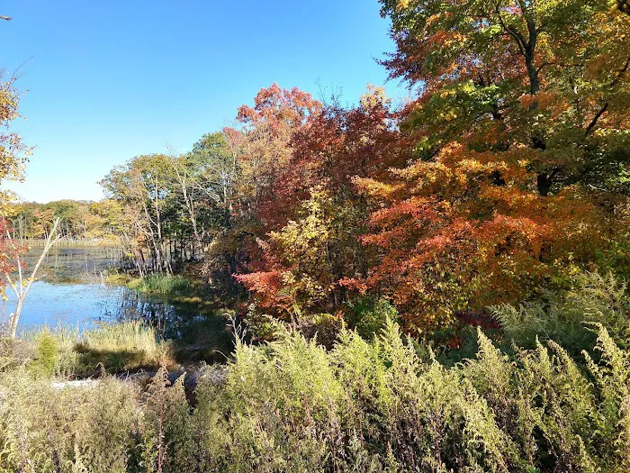 Mombasha Park Picture 9