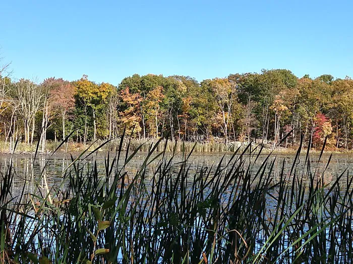 Mombasha Park Picture 4