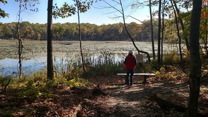 Mombasha Park Picture 6