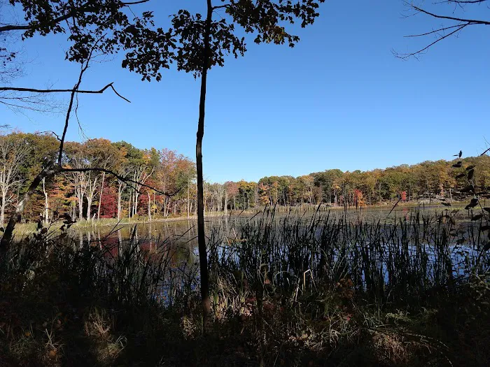 Mombasha Park Picture 3