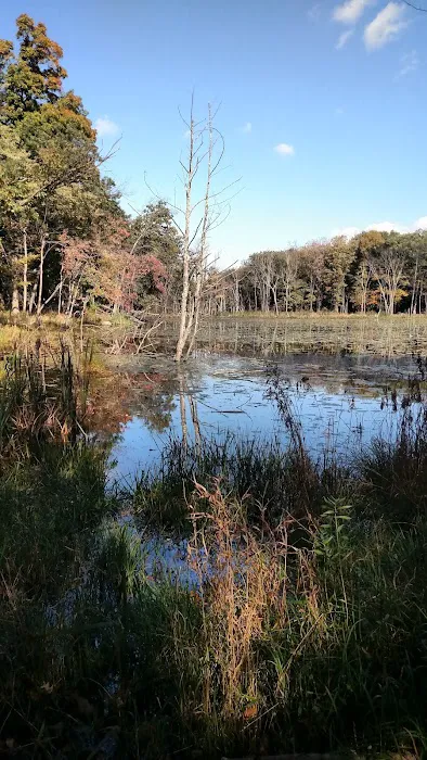 Mombasha Park Picture 10