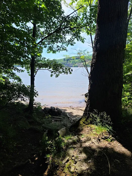 Arden Point and Glenclyffe Picture 3