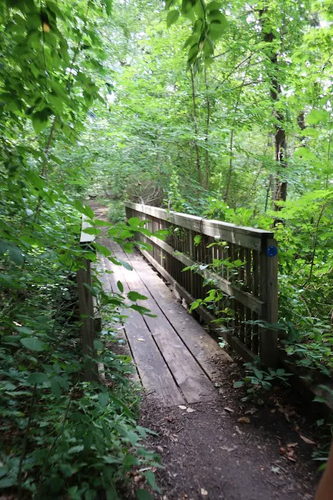 Arden Point and Glenclyffe Picture 1