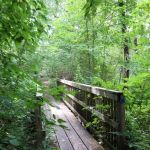 Arden Point and Glenclyffe