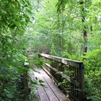 Arden Point and Glenclyffe ico