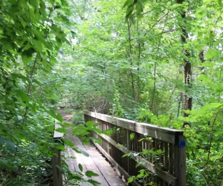Arden Point and Glenclyffe