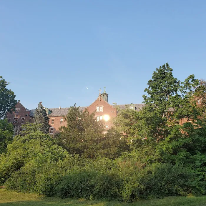 Arden Point and Glenclyffe Picture 9