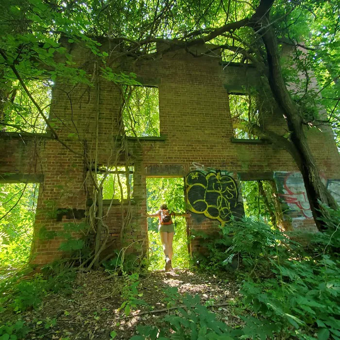 Arden Point and Glenclyffe Picture 5