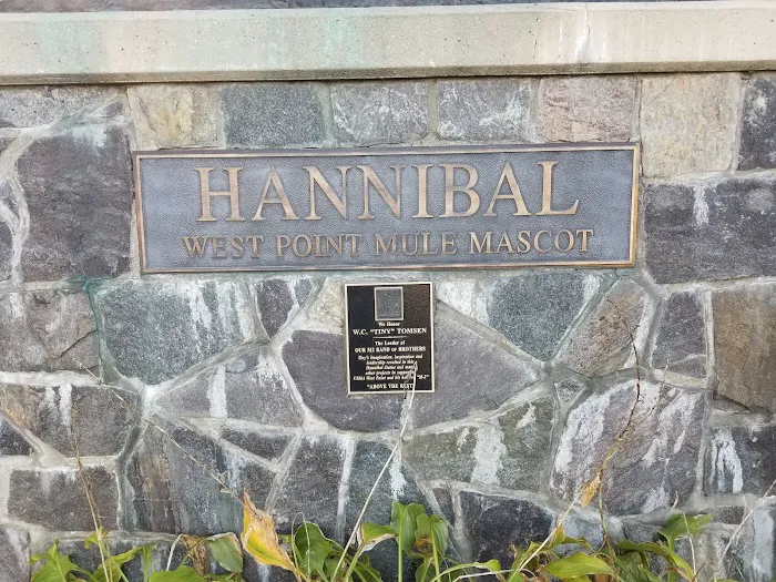 Hannibal the West Point Mule Picture 8