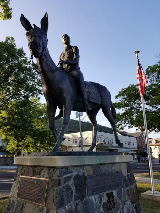 Hannibal the West Point Mule Picture 9