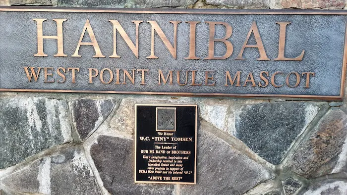 Hannibal the West Point Mule Picture 4