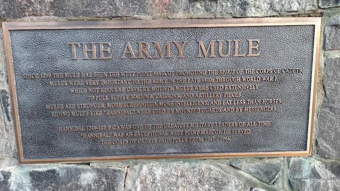 Hannibal the West Point Mule Picture 3