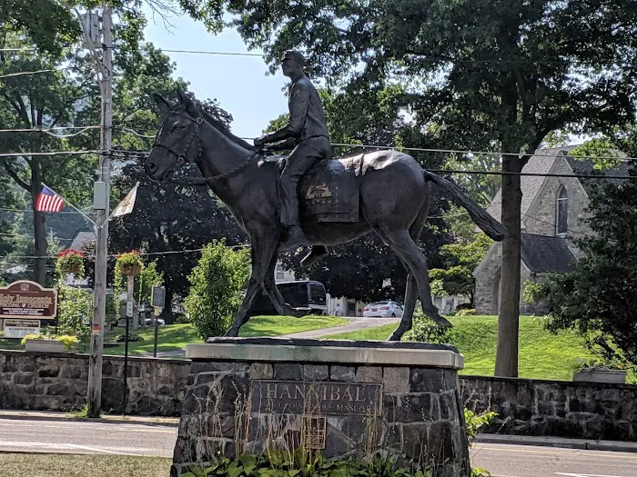 Hannibal the West Point Mule Picture 7