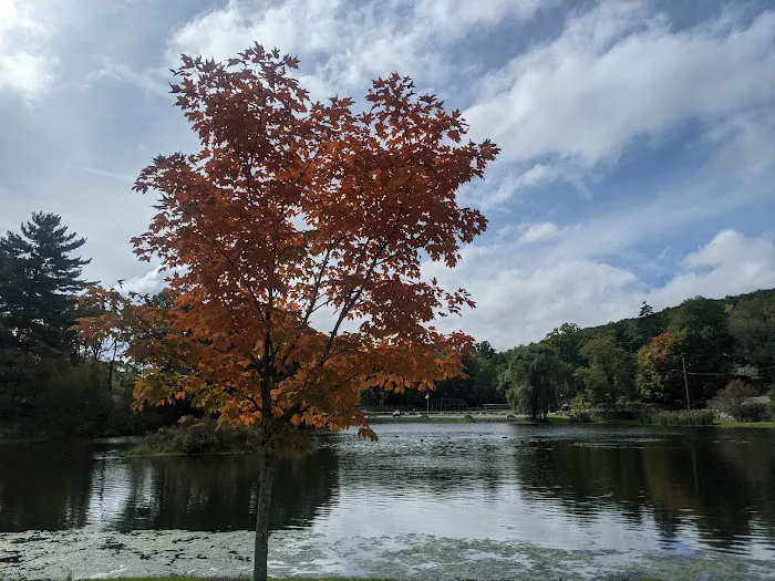 Roe Park Picture 9